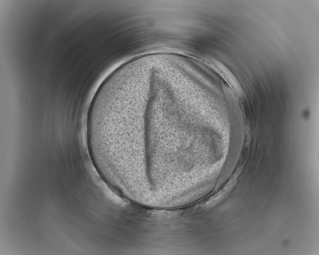 X0000097630812200803211808