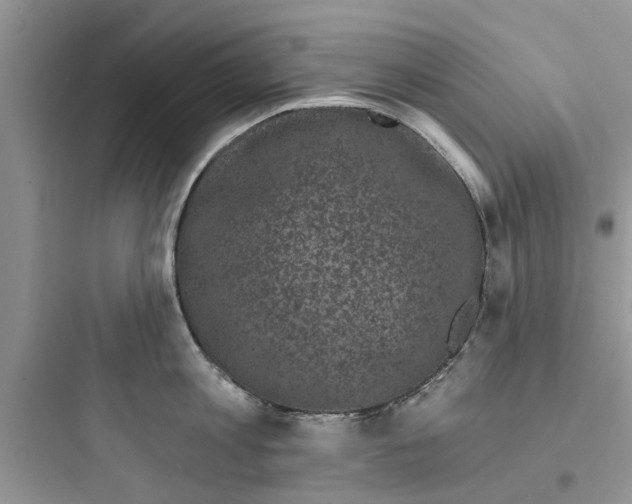 X0000097630813200803211808