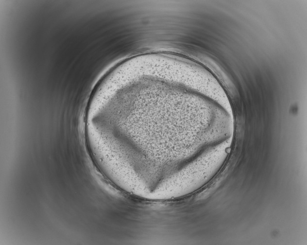 X0000097630814200803211808