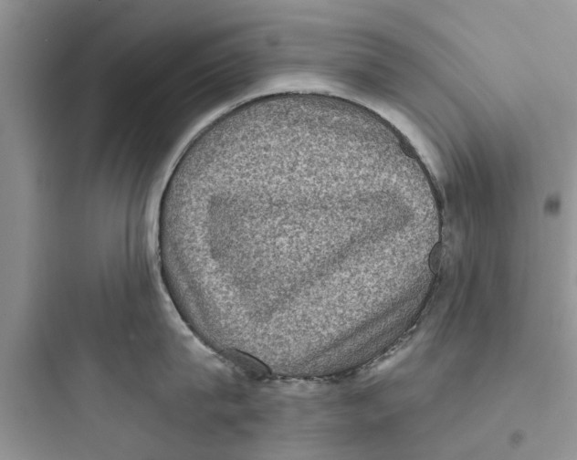 X0000097630815200803211808