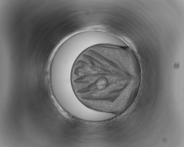 X0000097630816200803211808