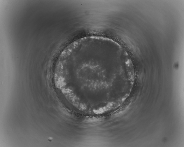 X0000097630817200803211807