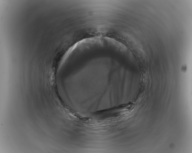 X0000097630818200803211807