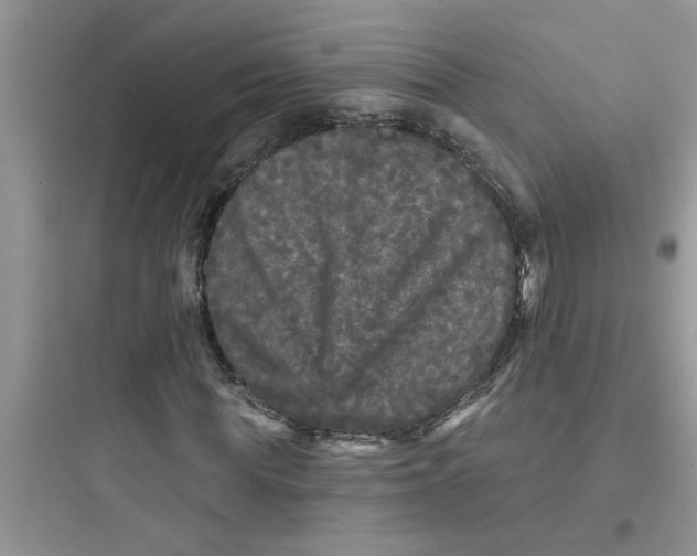 X0000097630819200803211807