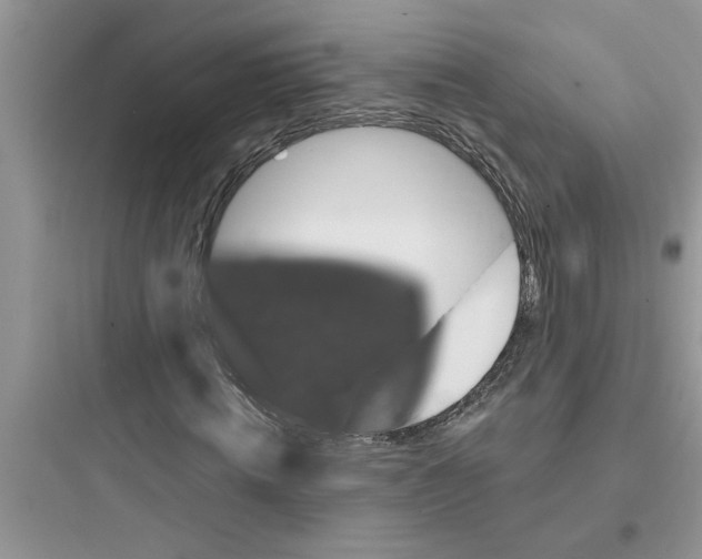 X0000097630820200803211807