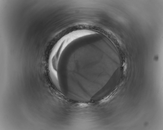 X0000097630822200803211807