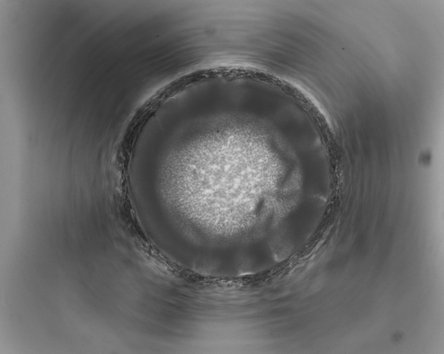 X0000097630823200803211807