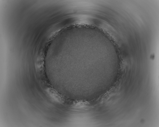 X0000097630824200803211807