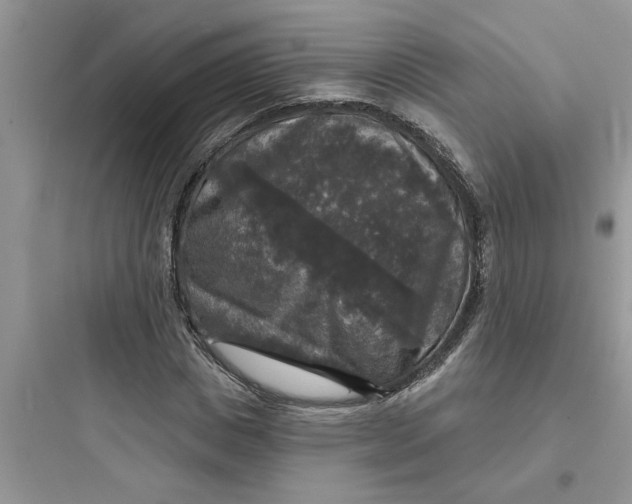 X0000097630825200803211807