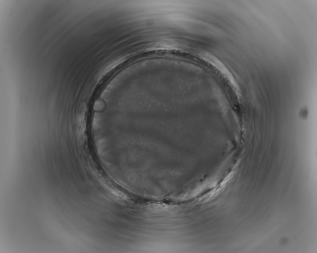 X0000097630826200803211807