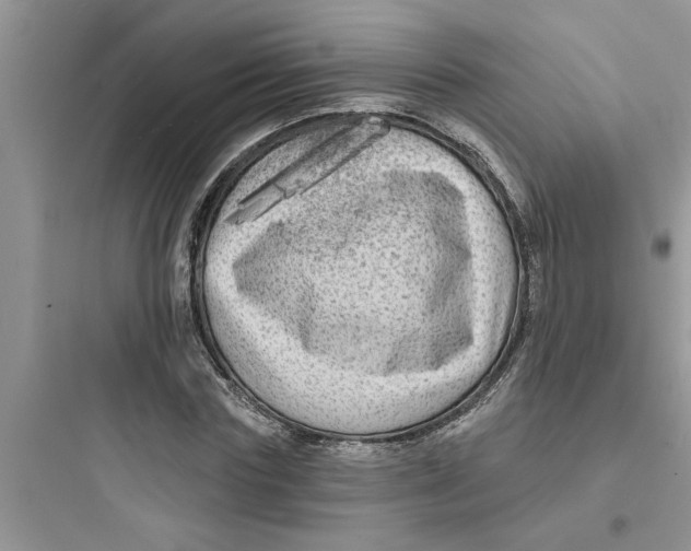 X0000097630827200803211807