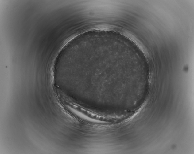 X0000097630829200803211807