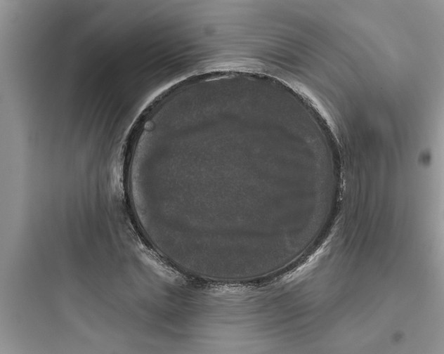 X0000097630830200803211807