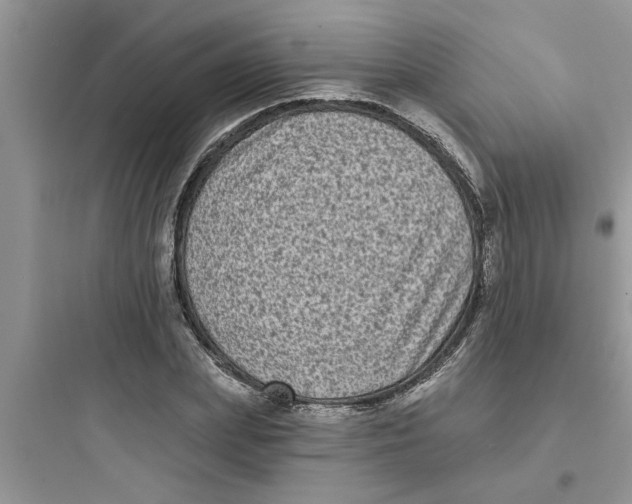 X0000097630831200803211807