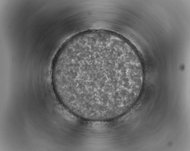 X0000097630832200803211807