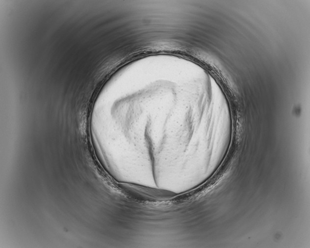 X0000097630833200803211807