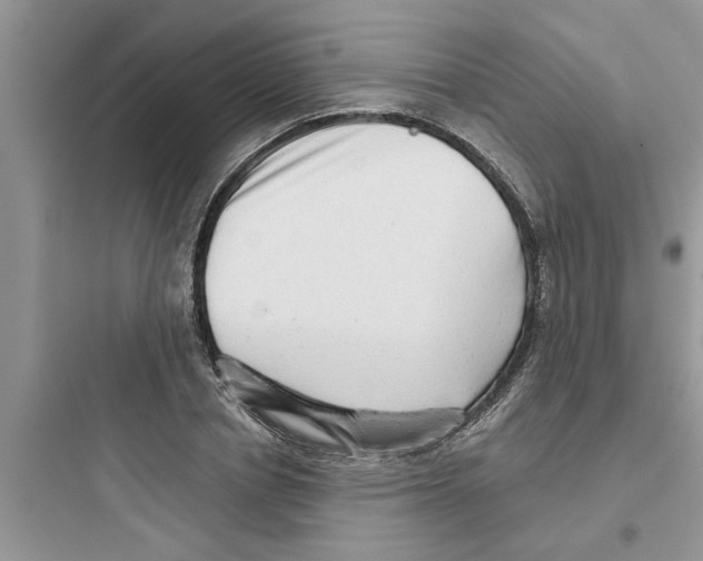 X0000097630834200803211807