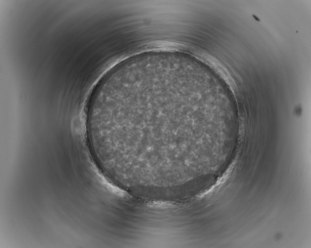 X0000097630835200803211807