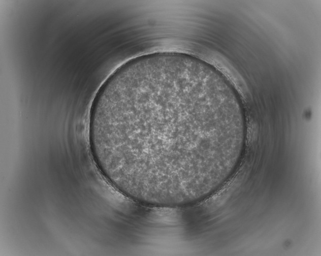 X0000097630836200803211807