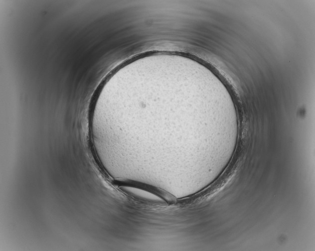 X0000097630837200803211807