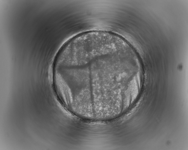 X0000097630838200803211807