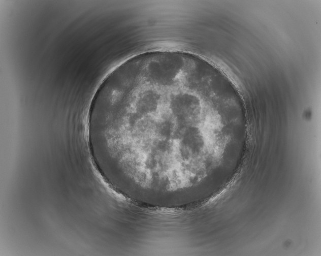 X0000097630839200803211807