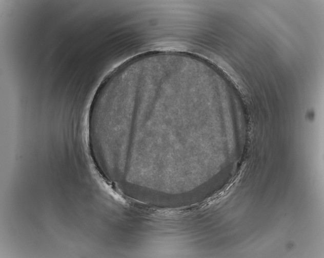 X0000097630840200803211807