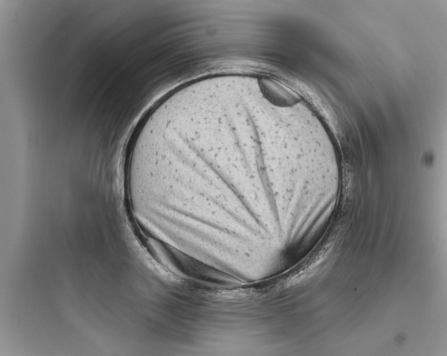 X0000097630843200803211808