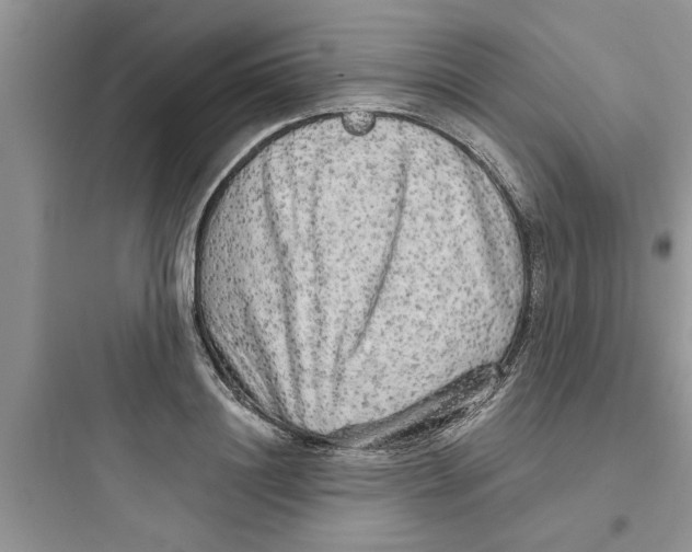 X0000097630844200803211808