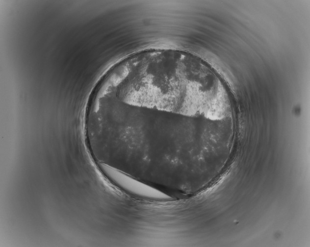 X0000097630845200803211808