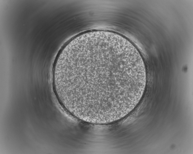 X0000097630848200803211808