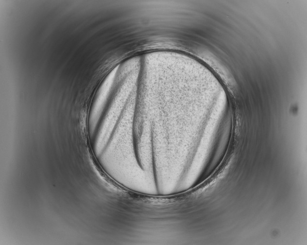 X0000097630849200803211808