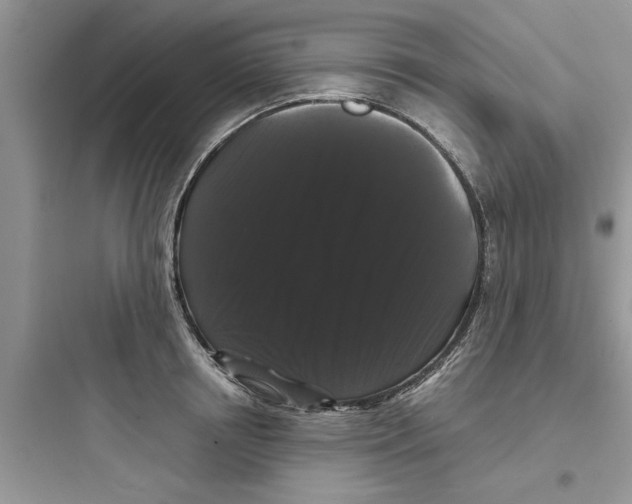 X0000097630850200803211808