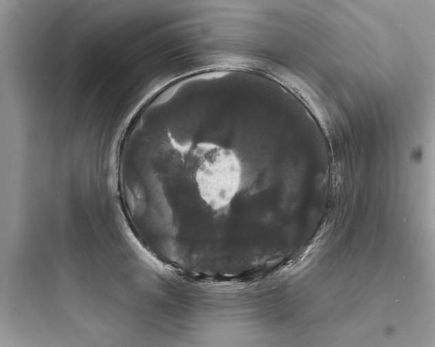 X0000097630851200803211808