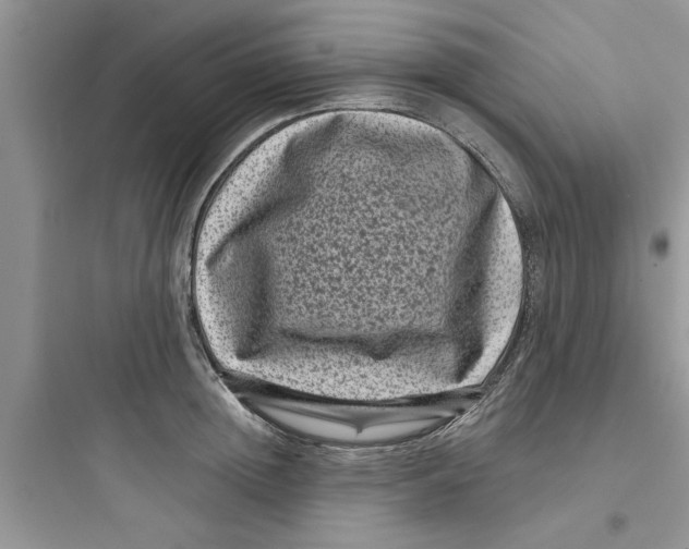 X0000097630852200803211808