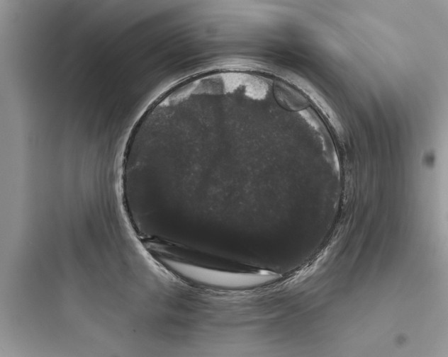 X0000097630853200803211808