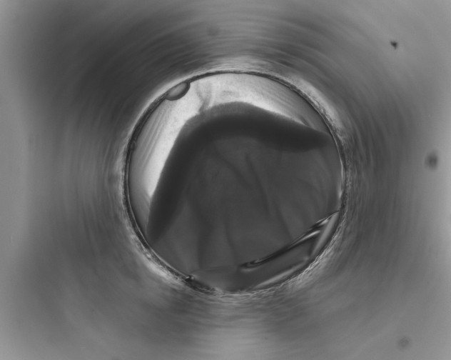 X0000097630854200803211808