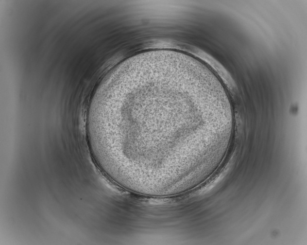 X0000097630857200803211808