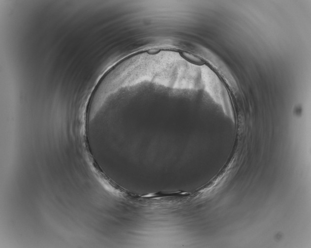 X0000097630858200803211808