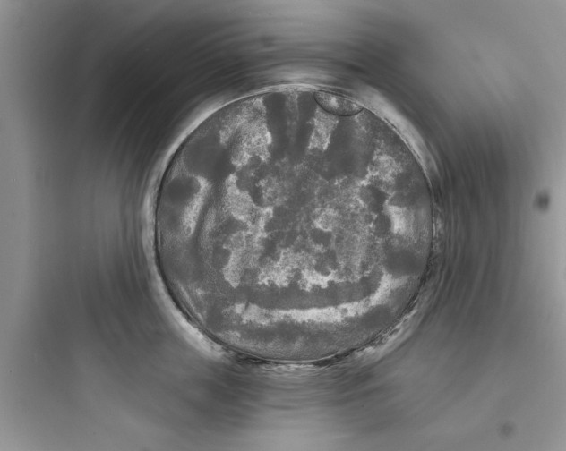 X0000097630859200803211808