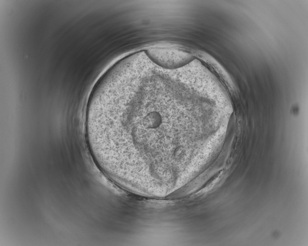 X0000097630860200803211808