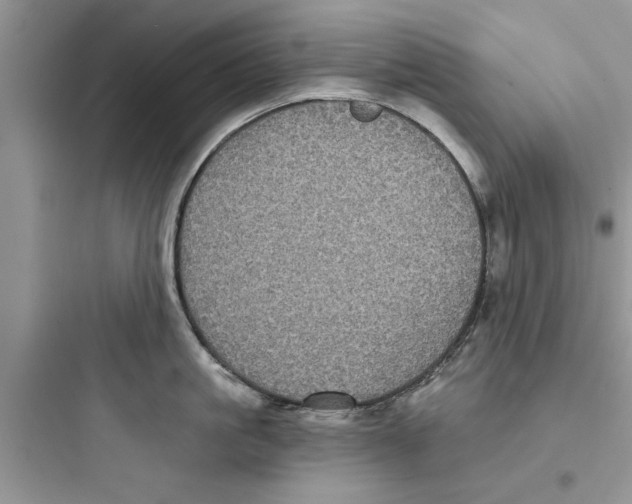 X0000097630861200803211808