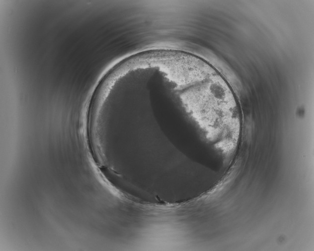 X0000097630862200803211808