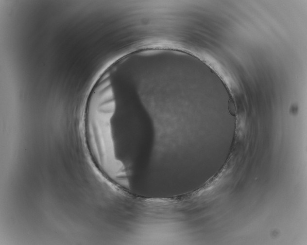 X0000097630863200803211808