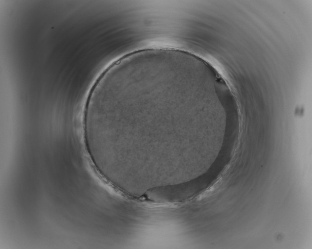 X0000097630864200803211808