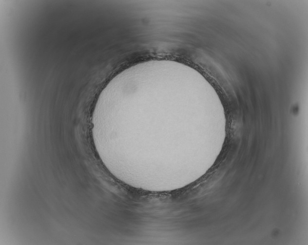 X0000097630865200803211807