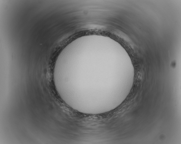 X0000097630869200803211807