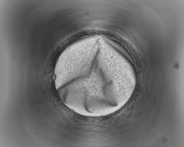 X0000097630870200803211807