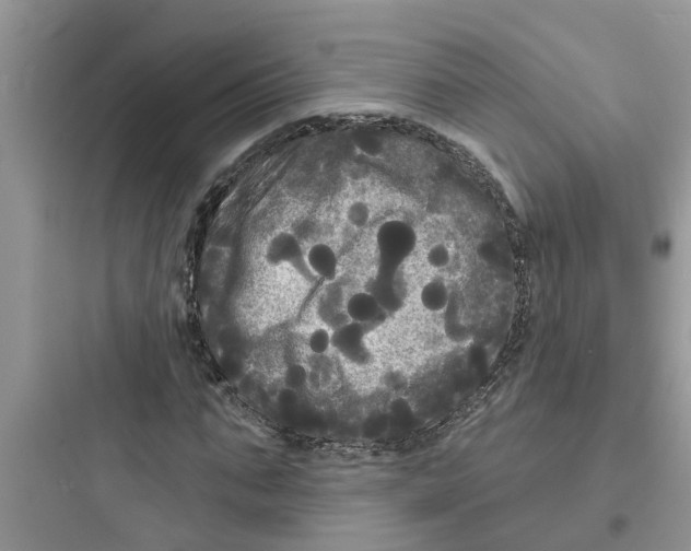 X0000097630871200803211807