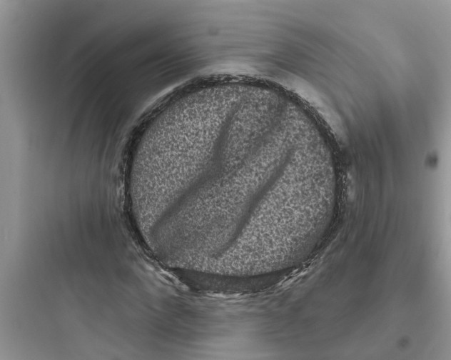 X0000097630872200803211807